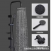 2 In 1 Shower Combination Dual Hose Rain Plastic Head - Black