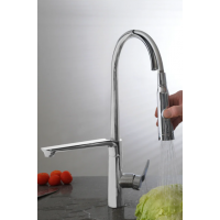 Kitchen Sink  Mixer - Alina with Spray