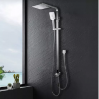 Shower Mixer Combination Twin Shower Set Top/Bottom Inlet SS2125-200S8