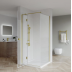 Shower Glass - Stream Series 2 Sides Swing Door 1200x1000mm Golden Frame