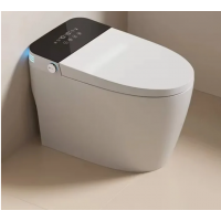 Smart Toilet - Smart Modern Bidet Toilet, with Heated Seat, Dual Auto Flush #704