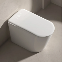 Smart Toilet - Smart Modern Bidet Toilet, with Heated Seat, Dual Auto Flush #802C