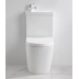 2 in 1 Toilet Basin Combo Combined Toilet and Sink