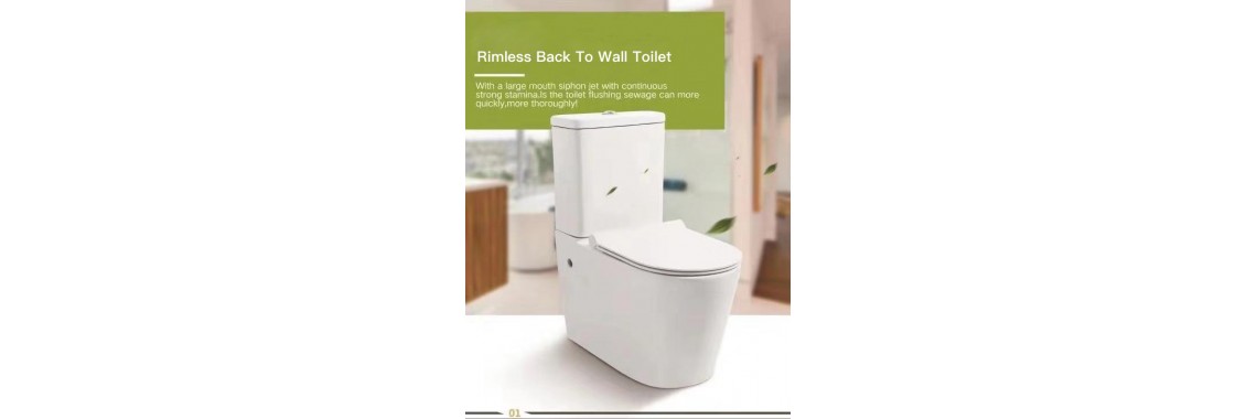 Back to wall toilet