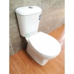 Toilet Suite Two Piece A3969 S-Pan