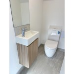 Wall Hung Misty Series 460mm Wood Grain