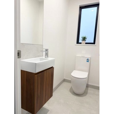 Wall Hung Misty Series 460mm Walnut