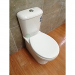 Toilet Suite - BTW A3969B S/P Pan