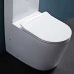 Toilet Pan-BTW-Rimless Flushing - TWH0608