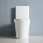 Toilet Suite - Back to Wall - TWH1109
