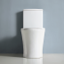 Toilet Suite - Back to Wall - TWH1109